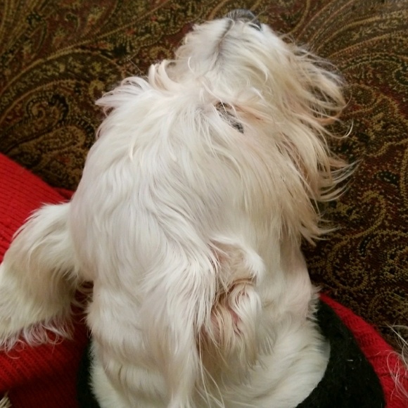 Meet your Posher, Gaby - Picture 1 of 1